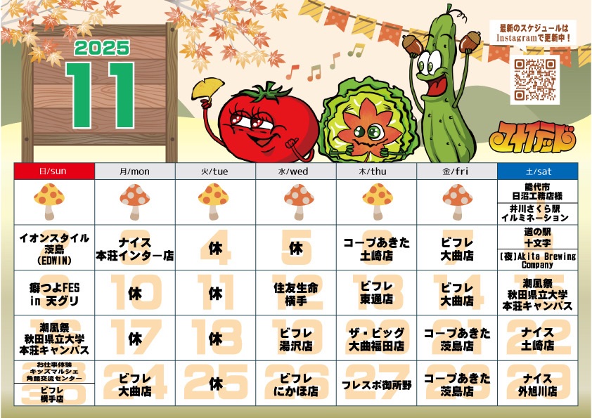 11月のスケジュール